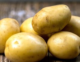 Картофель Пондус купить