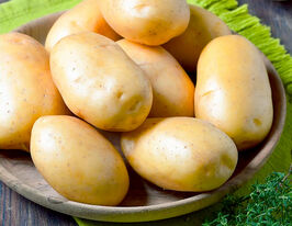 Картофель Децибел купить