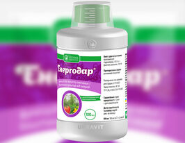 Енергодар 100 млкупити