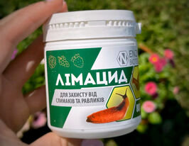 Лимацид купить
