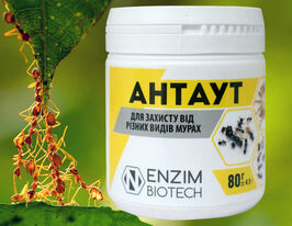 АнтАут 80 гкупити