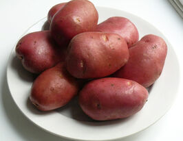 Картопля Міражкупити