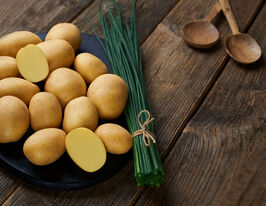 Картофель Мелисса (Melissa) купить