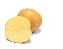 Картофель Ислара (Islara) купить