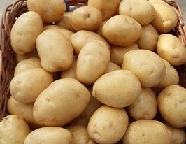 Картофель Анисса (Anissa) купить