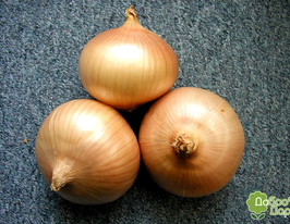 Лук озимый Августа 1 кг купить