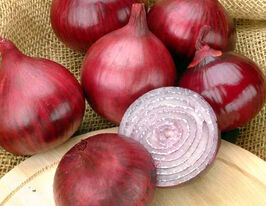 Лук Кармен 1 кг купить