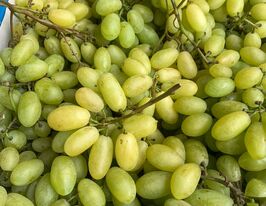 Виноград Маяккупити