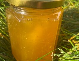 Мёд в стеклянной банке липовый 350 г купить