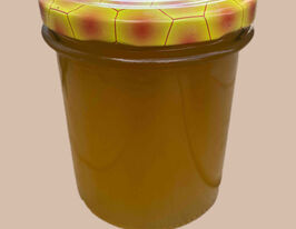 Мёд в стеклянной банке липовый 450 г купить