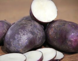 Картофель Чёрный принц купить