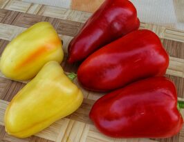 Перец сладкий Беатрикс F1 купить