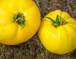 Томат Велике лимонне биче серце (Huge lemon Оxheart)купити