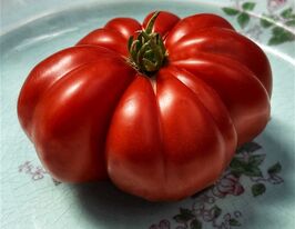 Томат Великий червоний Шейкер (Shaker's Large Red)купити