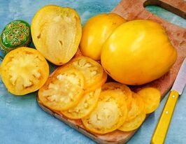 Томат Жовта булочка (Yellow Cookiс)купити