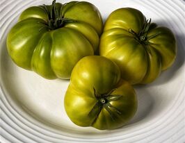 Томат Зеленый Теннесси (Tennessee Green) купить
