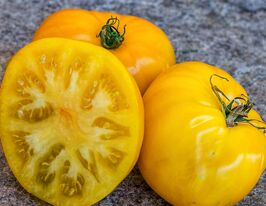 Томат Карлик золоте серце (Dwarf Golden Heart)купити