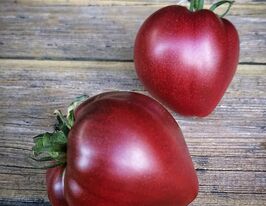 Томат Чероки пурпурное сердце (Cherokee Purple Heart) купить