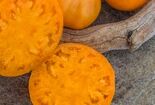 ﻿Томат Абрикосовий Брендівайн (Brandywine Apricot)