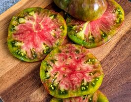 Томат Грюнер ананас буш (Grüner Ananas Busch)купити