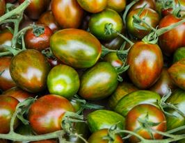 Томат Датерині зелений (Datterini Green)купити