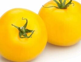 Томат Жовта лапа кенгуру (Kangaroo Paw Yellow)купити