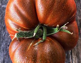 Томат Чорна мамба (Black Mamba)купити