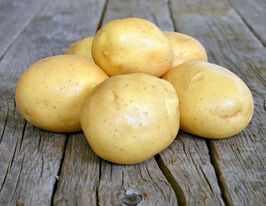 Картофель Мелоди купить