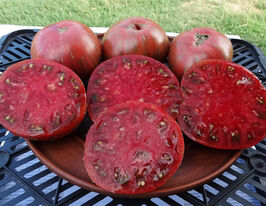 Томат Чумацький шляхкупити