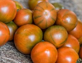 Томат Зла Малина (Evil Olive)купити