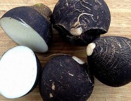 Редька черная Негритянка 100 г купить