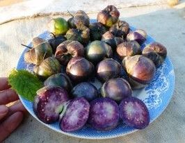 Физалис фиолетовый съедобный 20 г купить