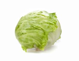Салат качанний Картагенаскупити