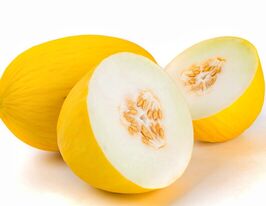 Дыня Азилал F1 купить