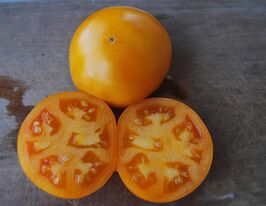 Томат в/р Екзотичний фрукт 20 гкупити