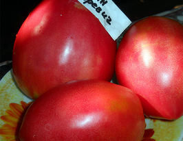 Томат в/р Іван царевич 20 гкупити