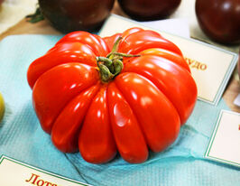 Томат к. Лотарингская красавица 20 г купить