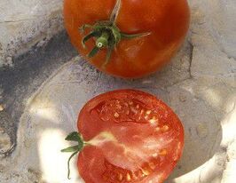 Томат в/р Матадор  5 гкупити