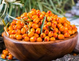Облепиха Чуйская Сладкая купить