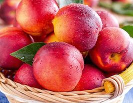 Нектарин Лола купить