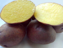 Картопля Дивенькупити