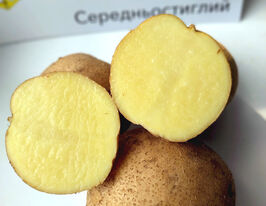 Картопля Караткупити