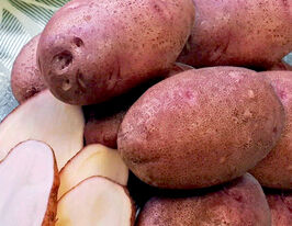 Картопля Любавакупити