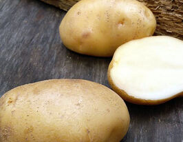 Картопля Софіякупити