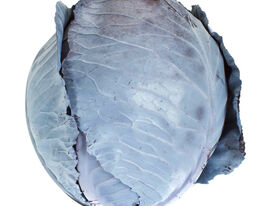 Капуста Червоноголова Родима F1купити