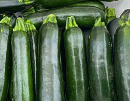 Кабачок Кефрен F1купити