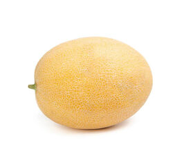 Дыня Тагбо F1 купить