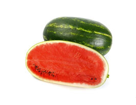 Кавун Морган F1купити