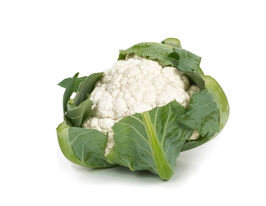 Капуста Цвітна Арієнзо F1купити