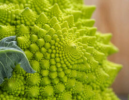 Капуста Цвітна Пунтоверде F1купити